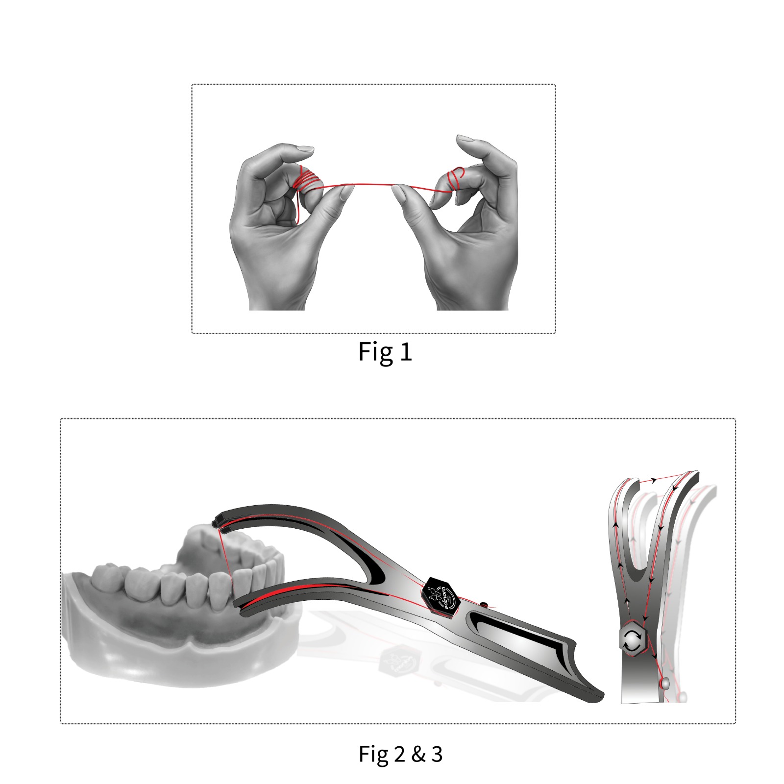 Edinora Dental Floss holder | Long and sturdy Floss holder for better grip and controlled flossing 
