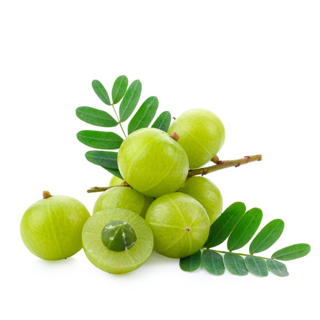 Amla/Indian Gooseberry (Emblica officinalis)